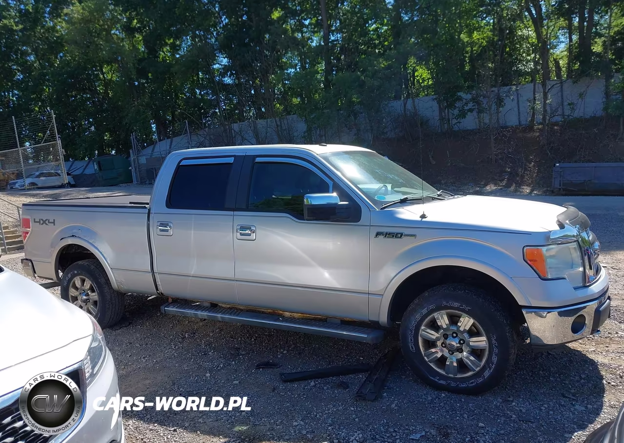 2010 Ford F150 Supercrew VIN:1FTFW1EV3AFB90426 - 13