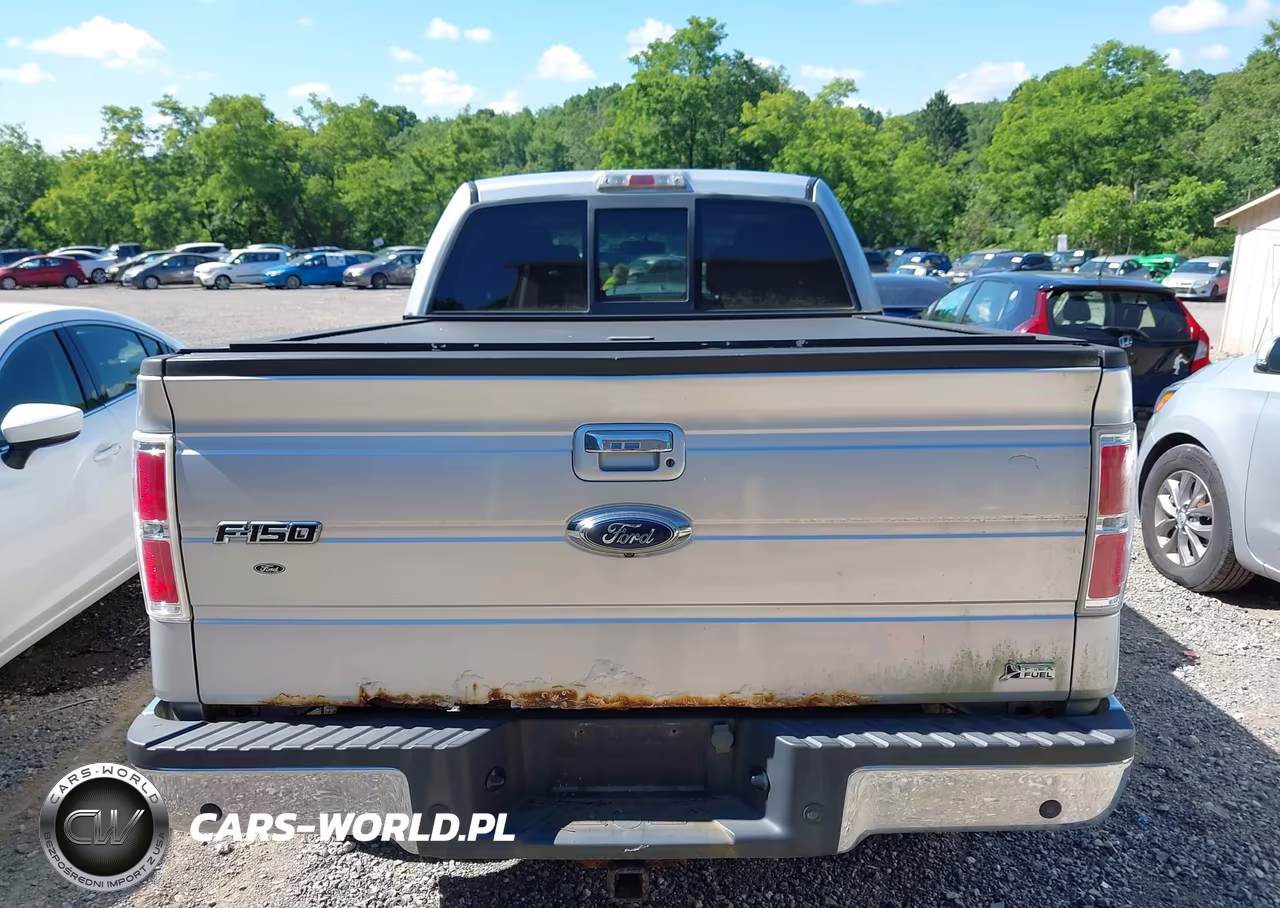 2010 Ford F150 Supercrew VIN:1FTFW1EV3AFB90426 - 16