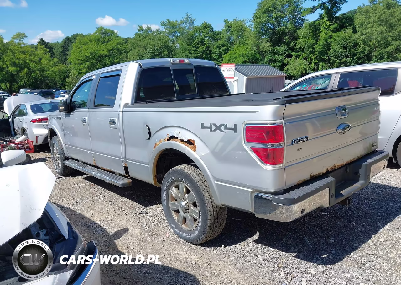 2010 Ford F150 Supercrew VIN:1FTFW1EV3AFB90426 - 3