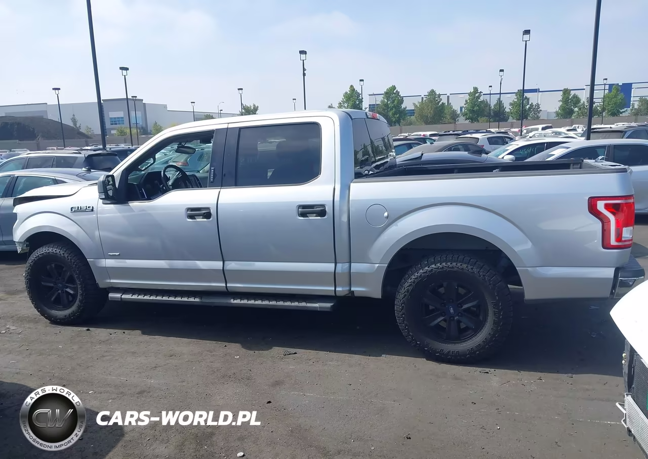 2015 Ford F-150 Xlt VIN:1FTEW1CP0FKE64793 - 15