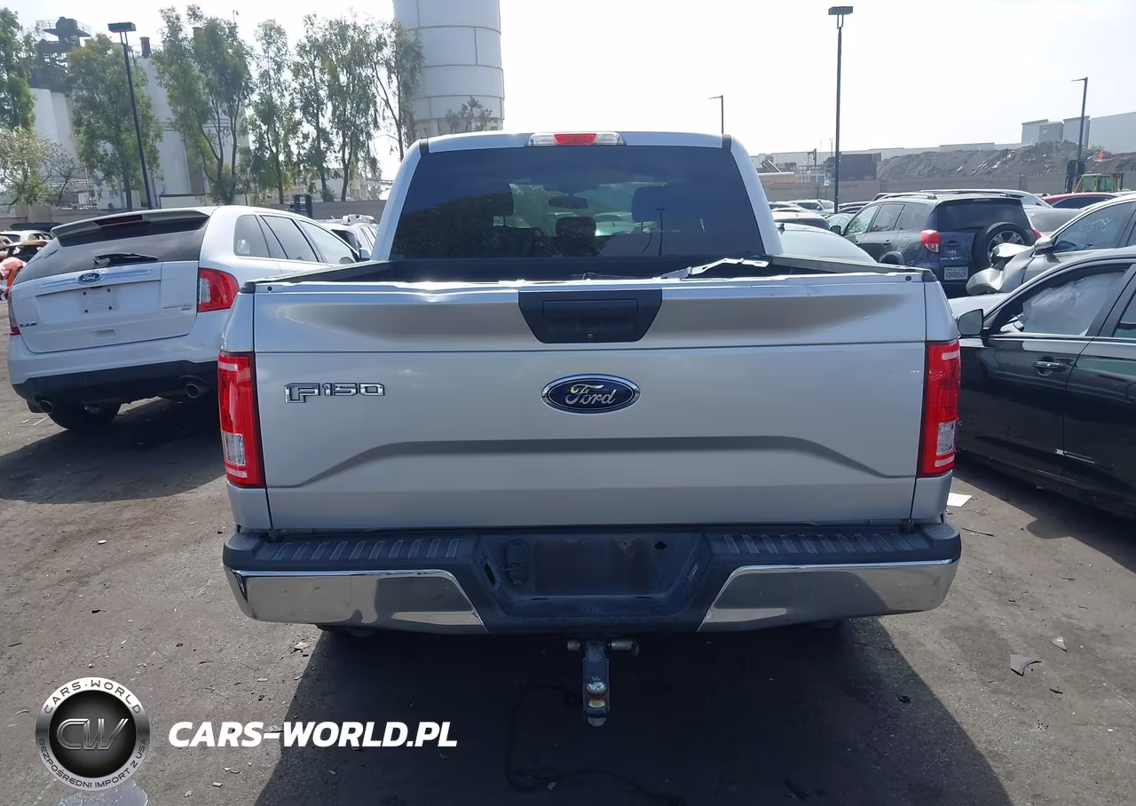 2015 Ford F-150 Xlt VIN:1FTEW1CP0FKE64793 - 17