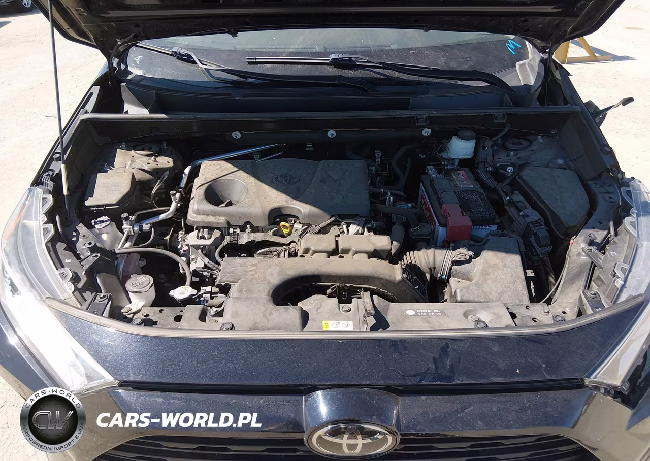 2019 Toyota Rav4 Xle VIN:JTMW1RFV3KD026053 - 10