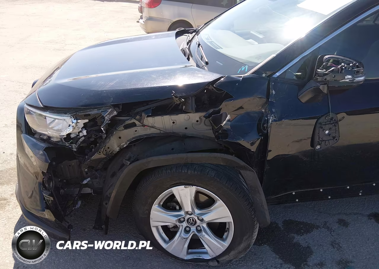 2019 Toyota Rav4 Xle VIN:JTMW1RFV3KD026053 - 6
