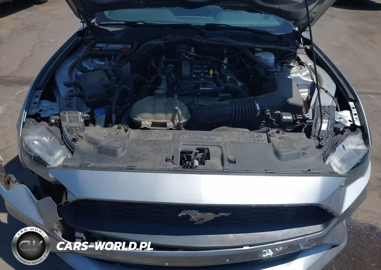2022 Ford Mustang Ecoboost Premium VIN:1FATP8UH2N5119241 - 10