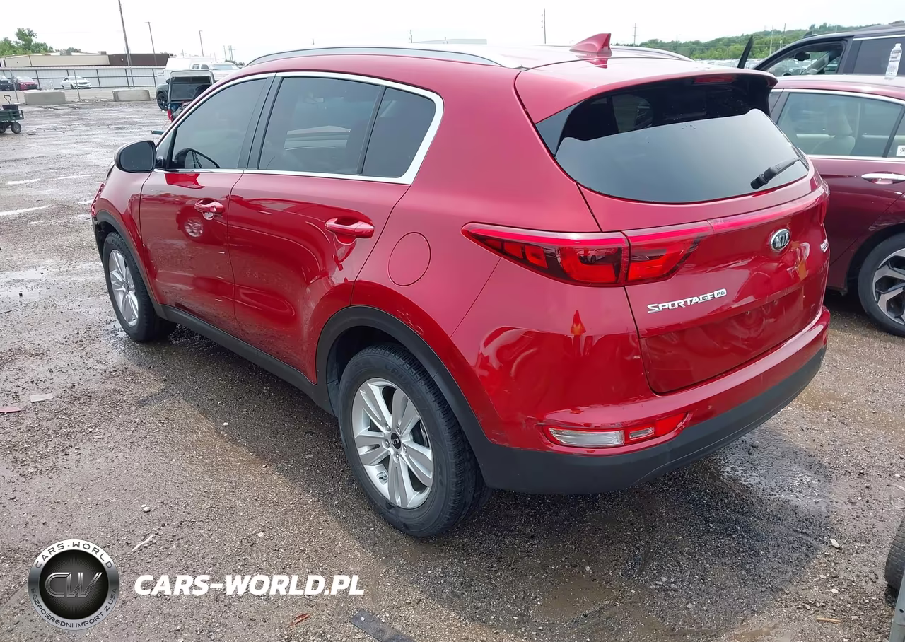 2019 Kia Sportage Lx VIN:KNDPM3AC7K7509039 - 3
