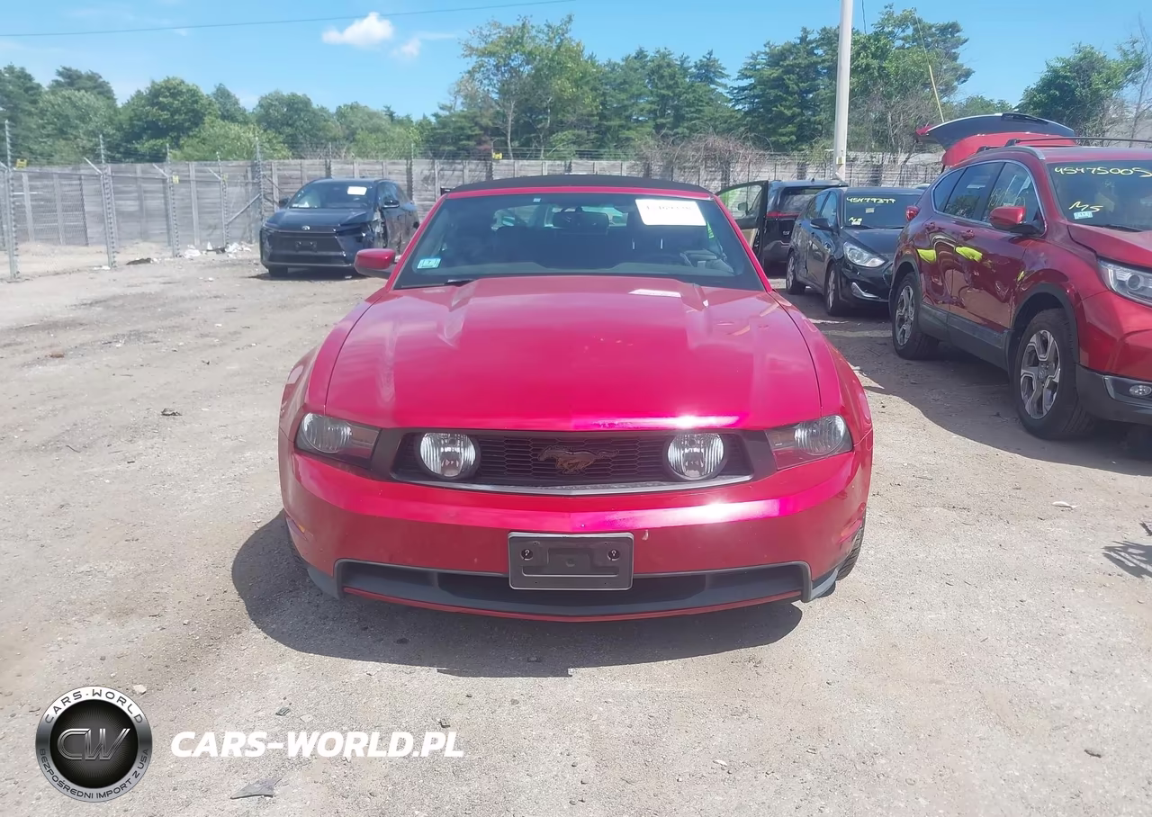 2010 Ford Mustang Gt-Gt Premium VIN:1ZVBP8FH7A5114935 - 12