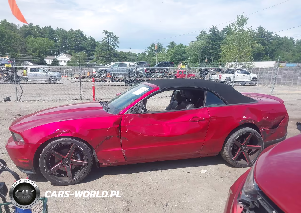 2010 Ford Mustang Gt-Gt Premium VIN:1ZVBP8FH7A5114935 - 14