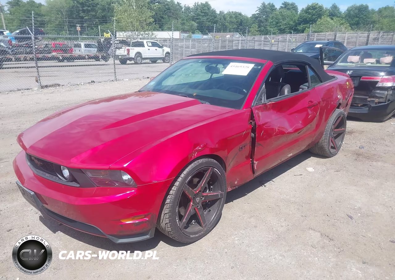 2010 Ford Mustang Gt-Gt Premium VIN:1ZVBP8FH7A5114935 - 2