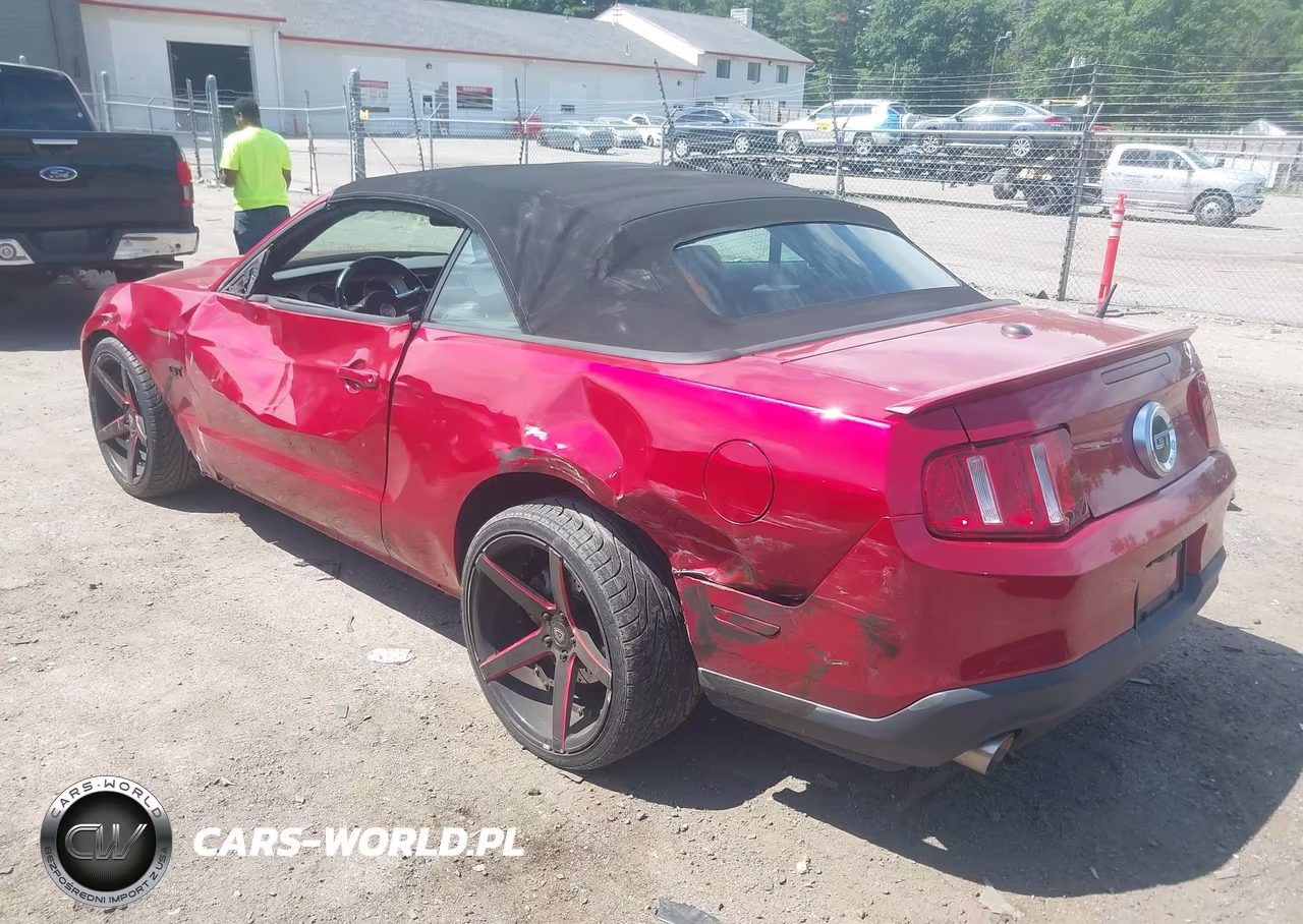 2010 Ford Mustang Gt-Gt Premium VIN:1ZVBP8FH7A5114935 - 3