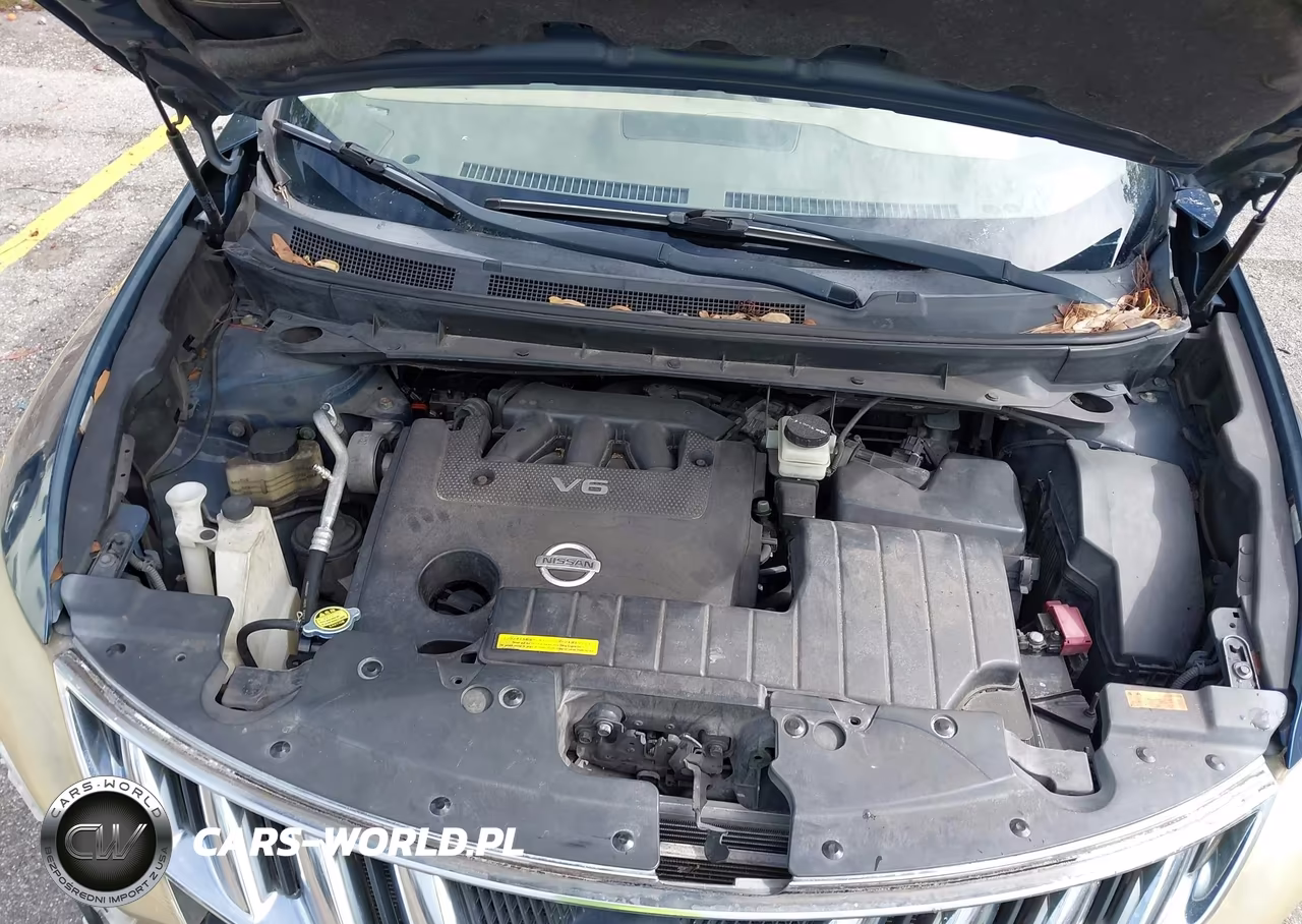 2009 Nissan Murano Sl VIN:JN8AZ18UX9W008547 - 10