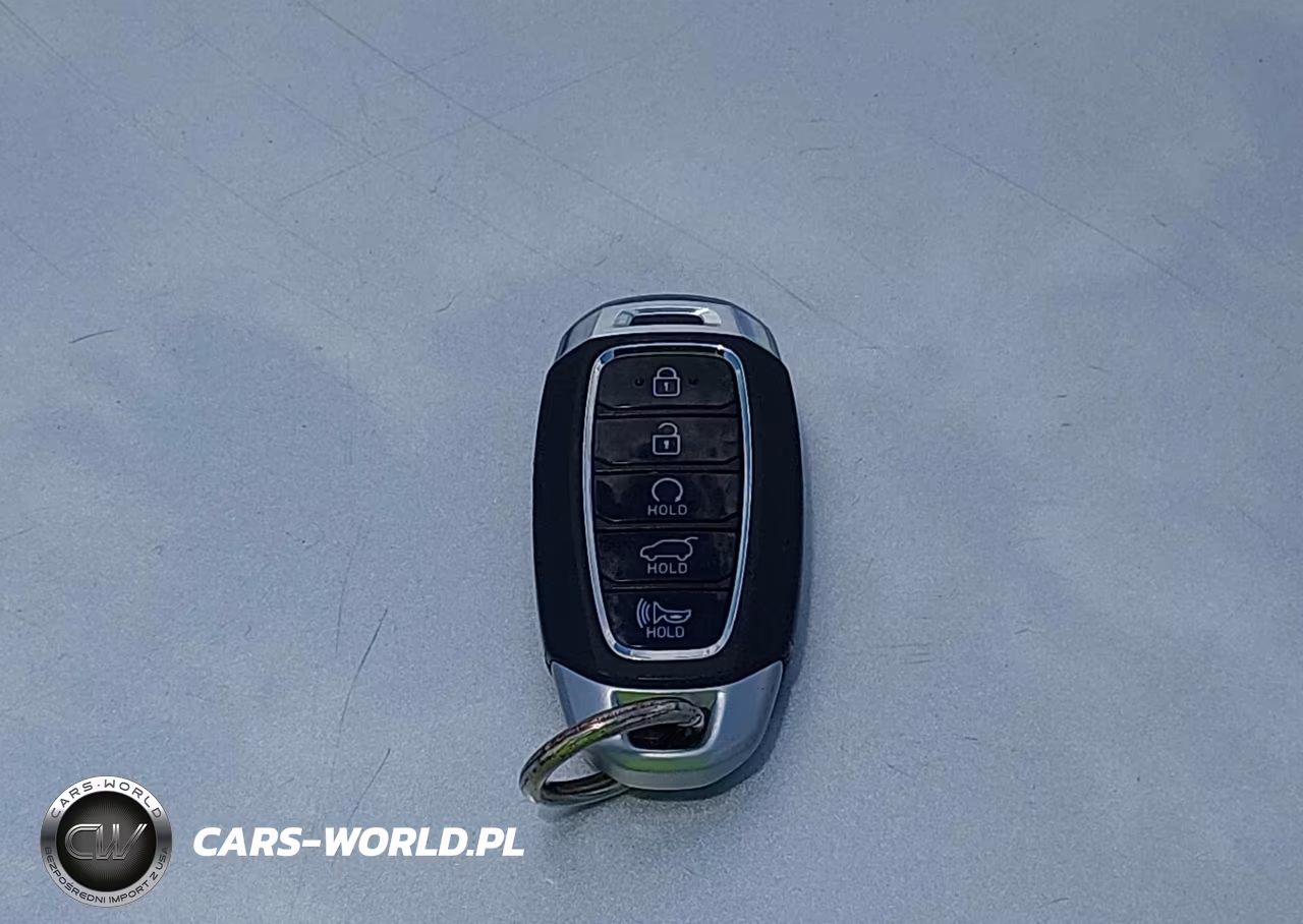 2020 Hyundai Palisade Limited VIN:KM8R54HE6LU137064 - 11