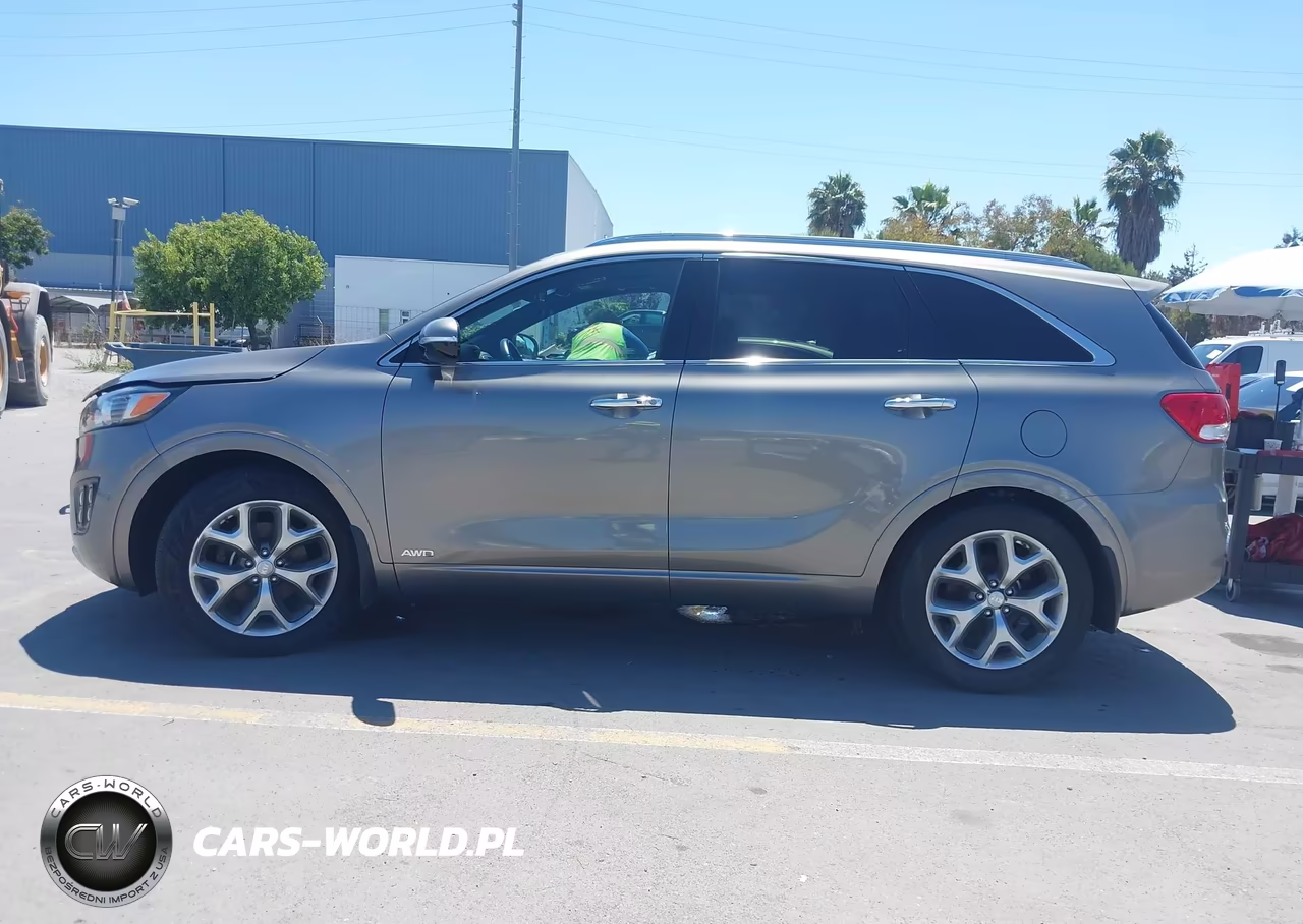 2016 Kia Sorento 2.0T Sxl VIN:5XYPKDA10GG030756 - 13