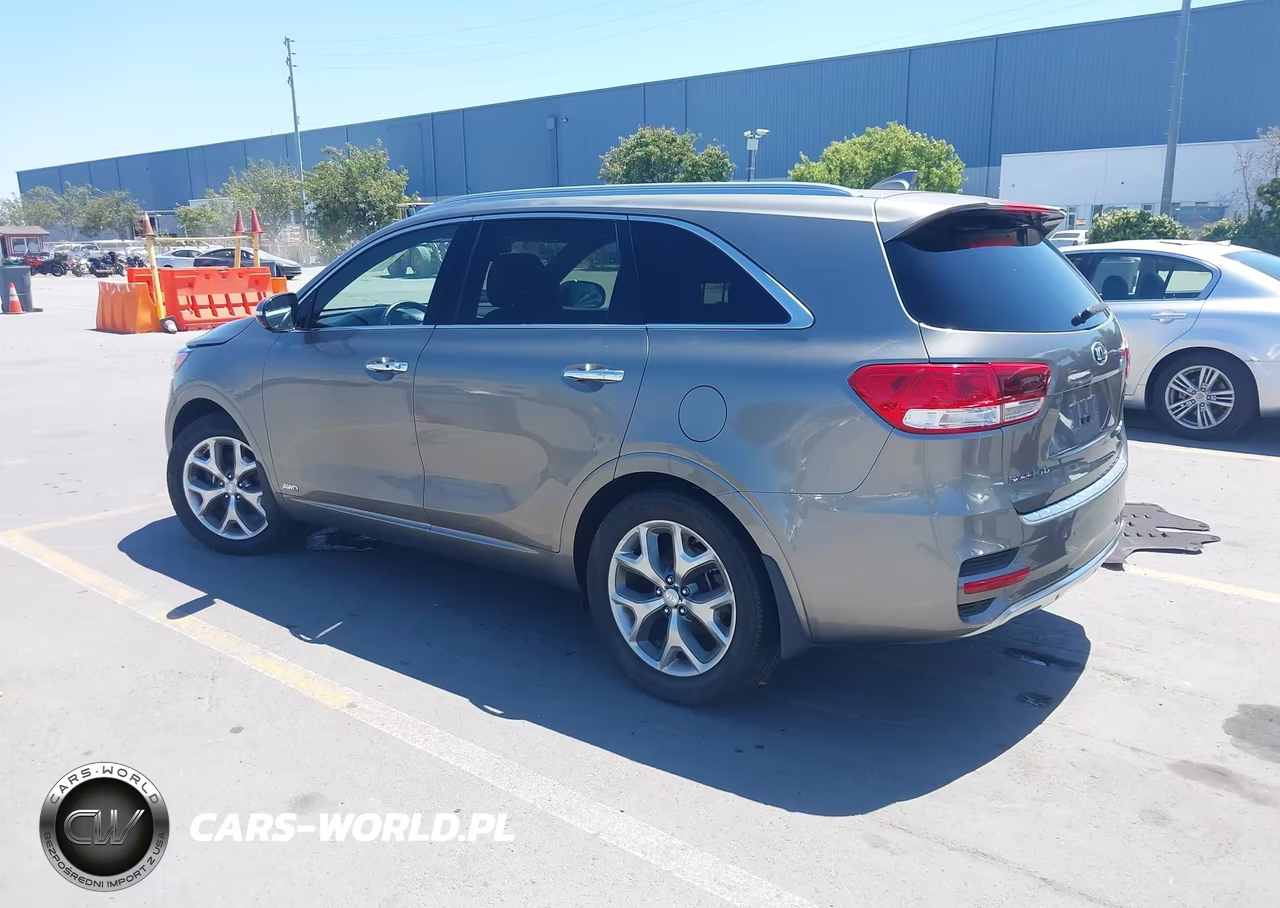 2016 Kia Sorento 2.0T Sxl VIN:5XYPKDA10GG030756 - 3