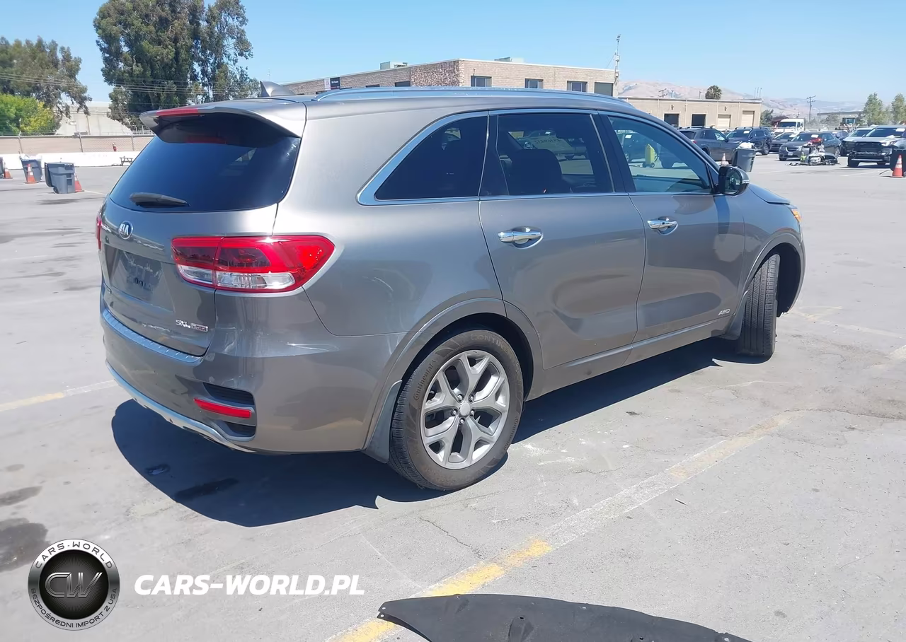2016 Kia Sorento 2.0T Sxl VIN:5XYPKDA10GG030756 - 4
