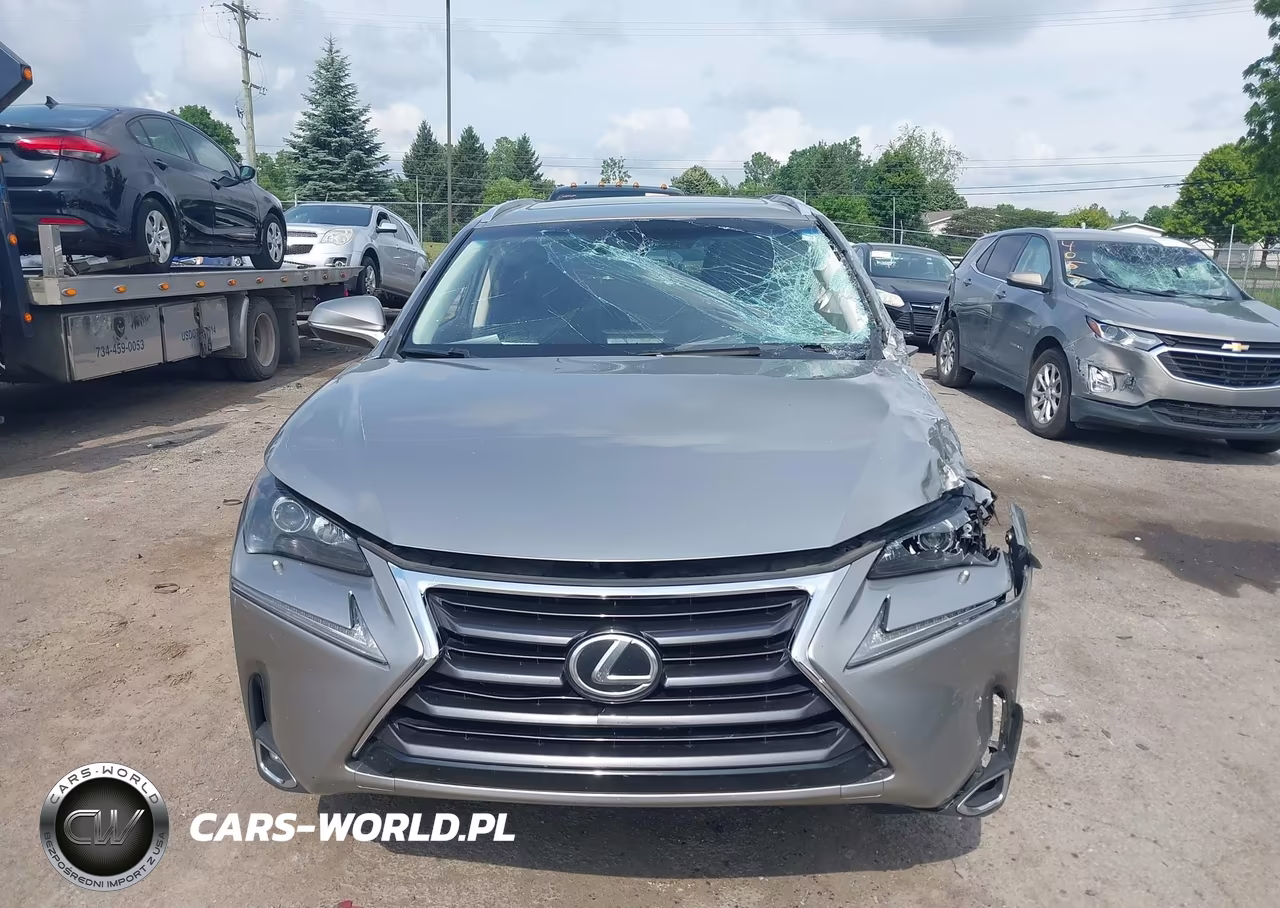 2015 Lexus Nx 200T VIN:JTJBARBZ5F2042034 - 12
