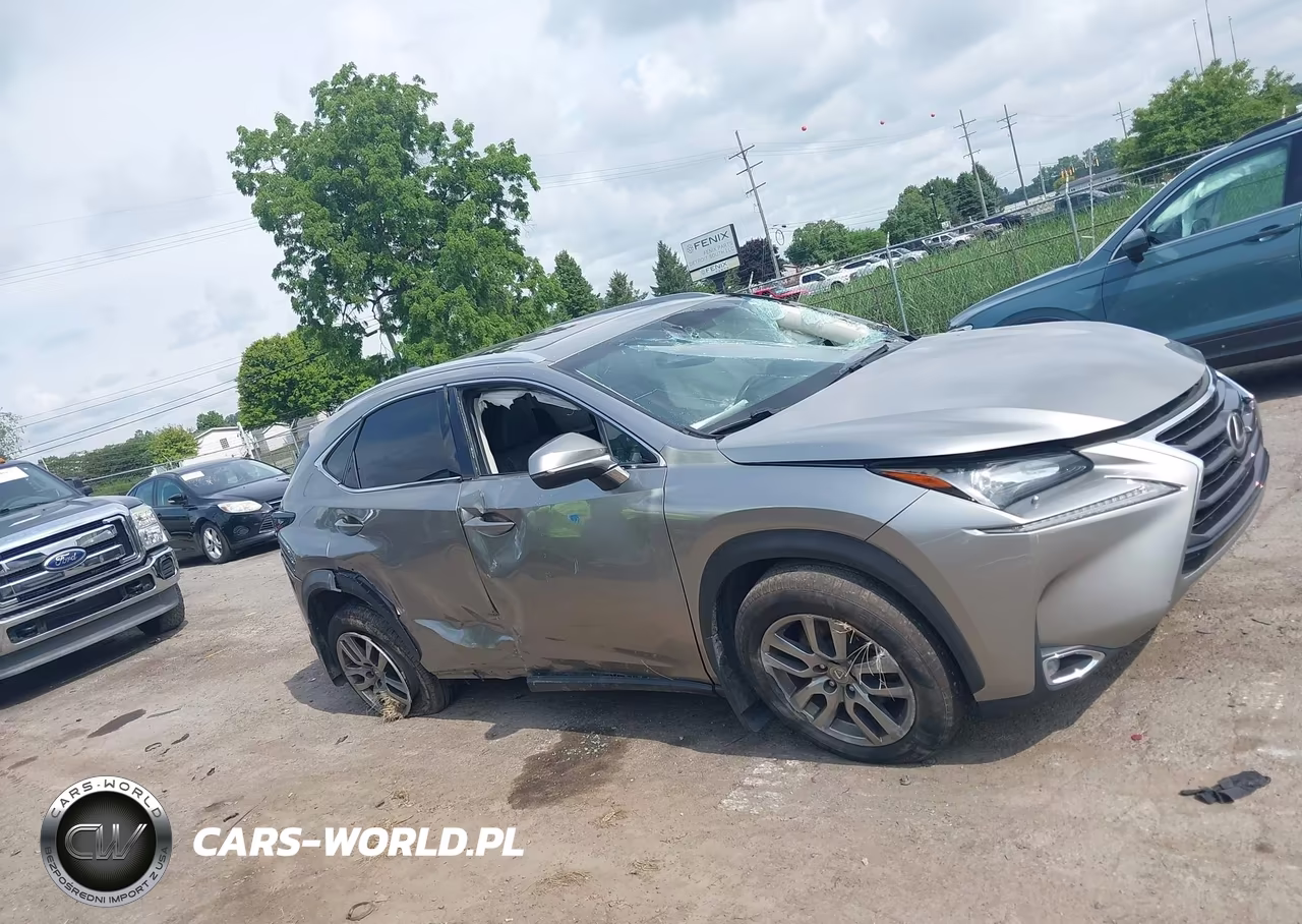 2015 Lexus Nx 200T VIN:JTJBARBZ5F2042034 - 13