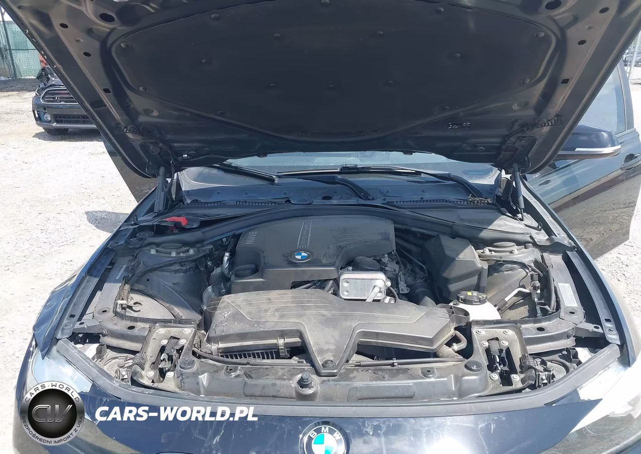 2016 BMW 320I VIN:WBA8A9C57GK617998 - 10