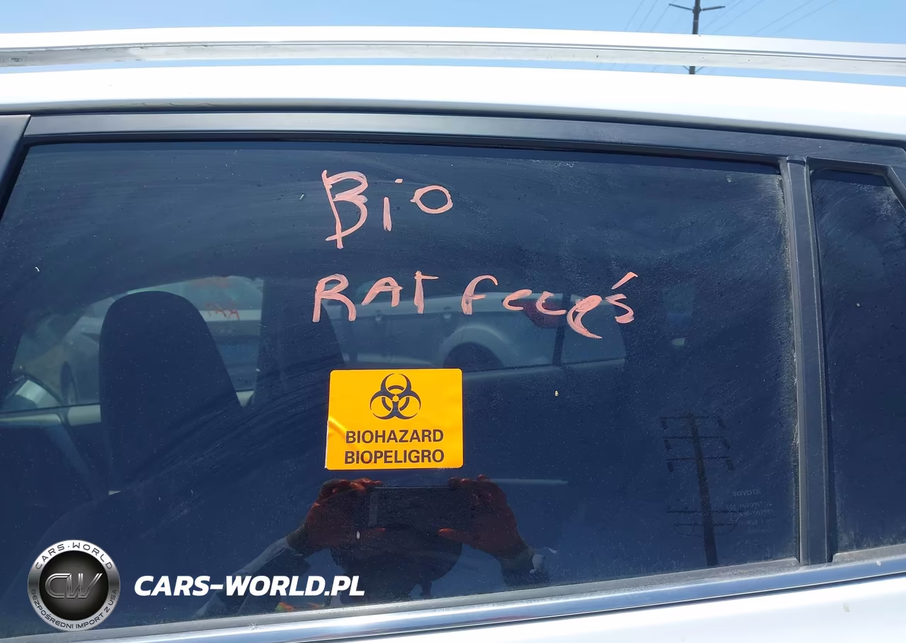 2013 Toyota Rav4 Xle VIN:JTMWFREV3DD014930 - 18