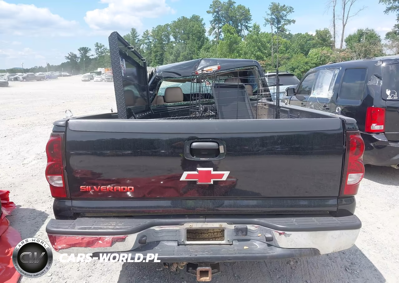 2003 Chevrolet Silverado 1500 Work Truck VIN:1GCEC14T43Z180669 - 17