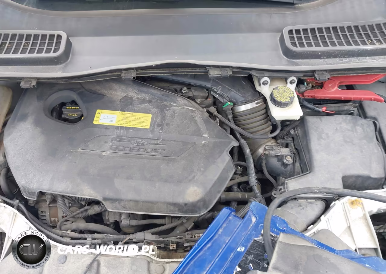 2013 Ford Escape Se VIN:1FMCU9GX0DUB15877 - 10
