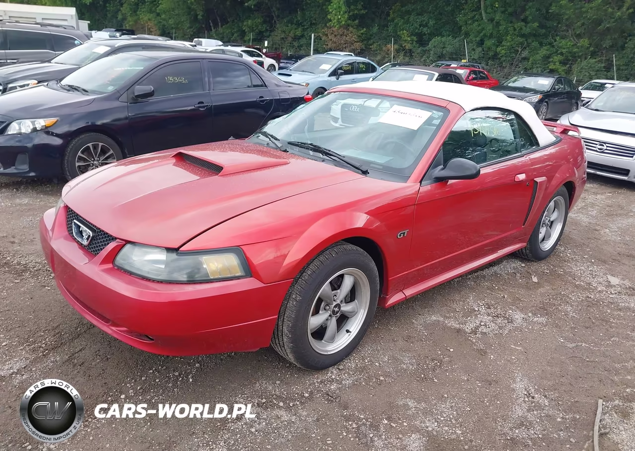 2001 Ford Mustang Gt VIN:1FAFP45X11F195212 - 2