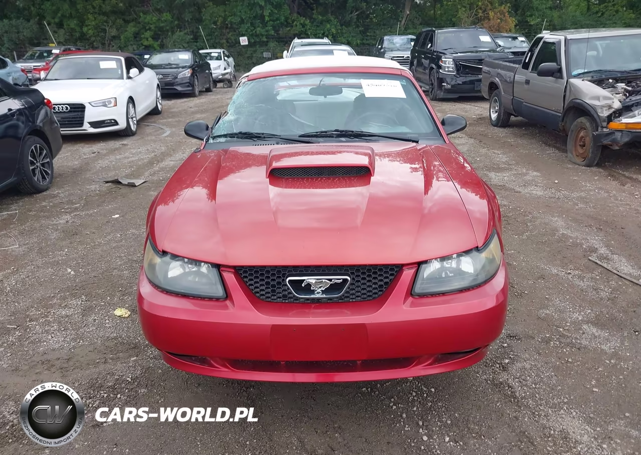 2001 Ford Mustang Gt VIN:1FAFP45X11F195212 - 6