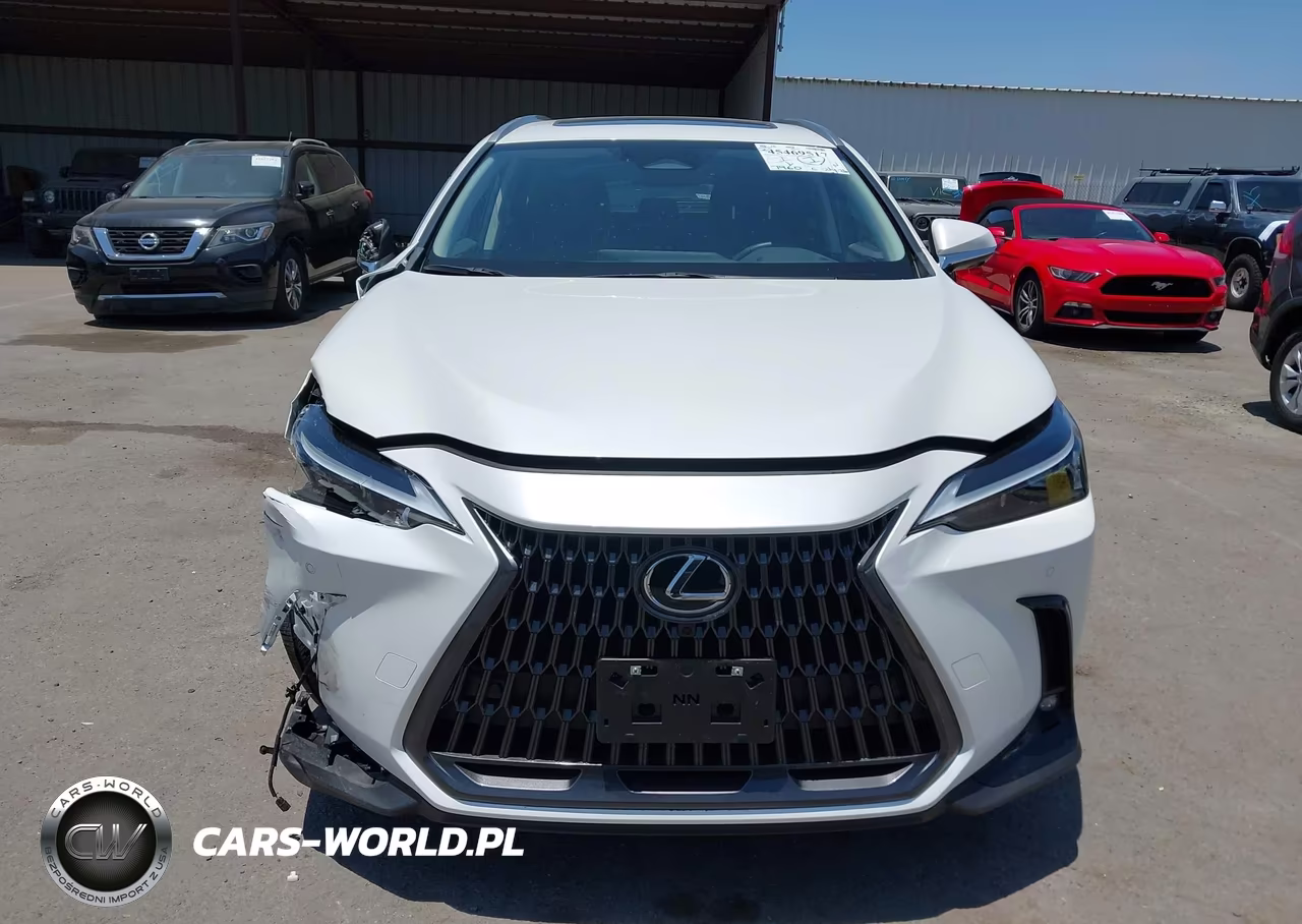 2025 Lexus Nx 350H Premium VIN:JTJGKCEZ1S2060178 - 13