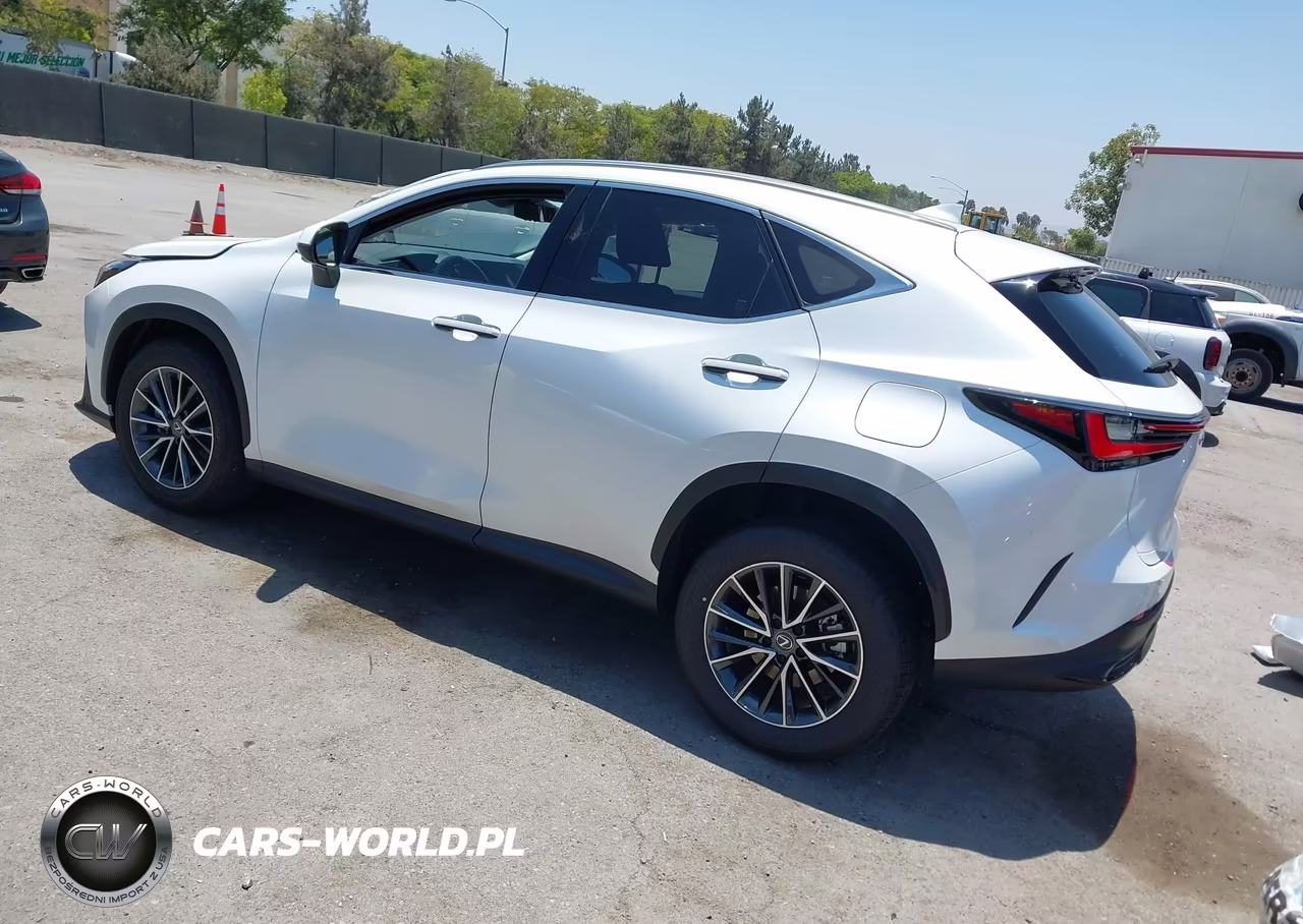 2025 Lexus Nx 350H Premium VIN:JTJGKCEZ1S2060178 - 3