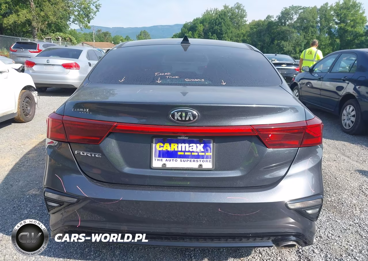 2019 Kia Forte Lxs VIN:3KPF24AD3KE049135 - 16