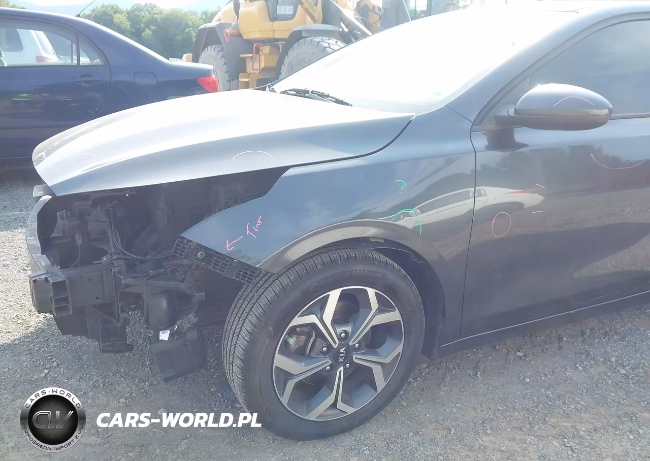 2019 Kia Forte Lxs VIN:3KPF24AD3KE049135 - 17