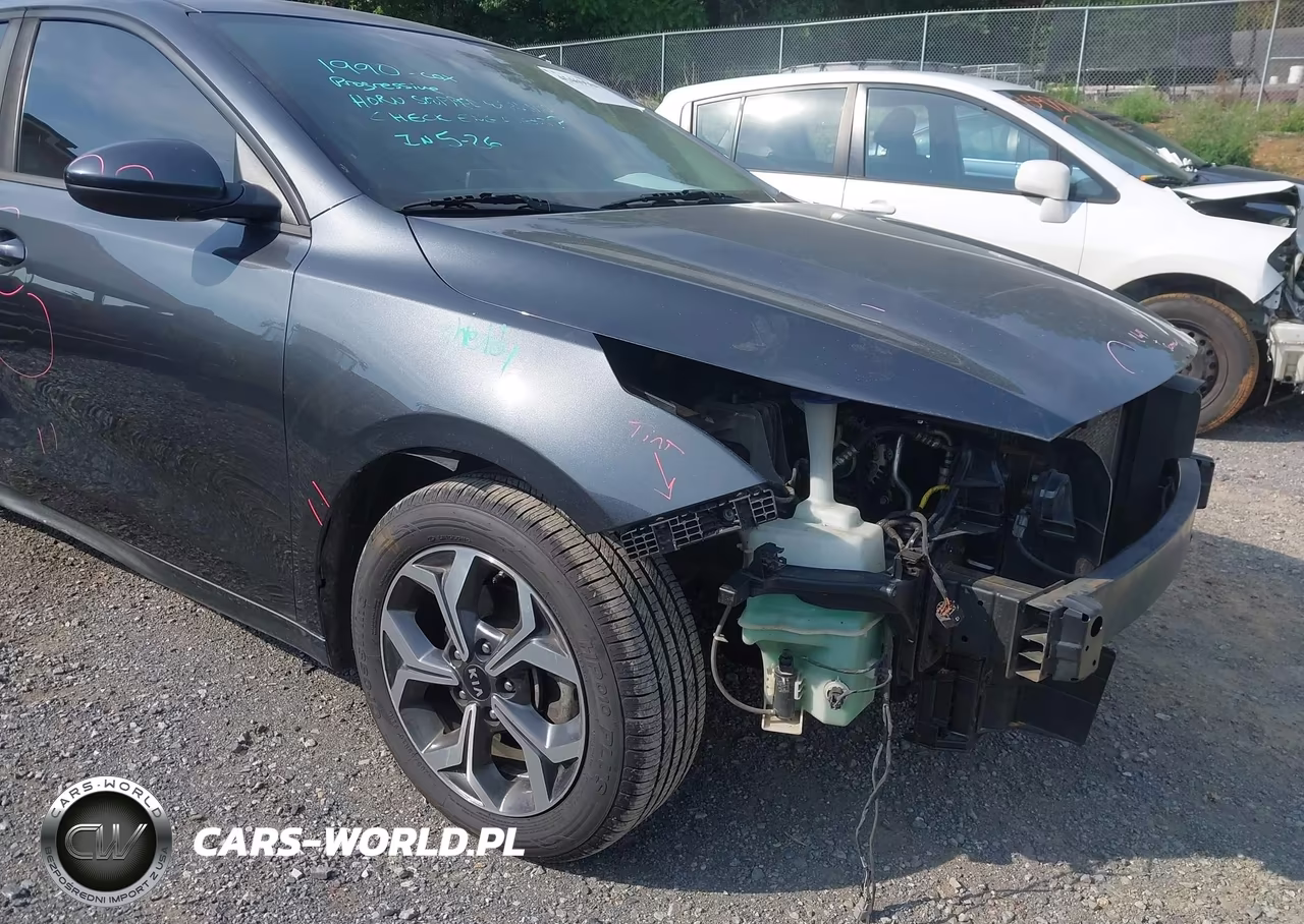 2019 Kia Forte Lxs VIN:3KPF24AD3KE049135 - 18