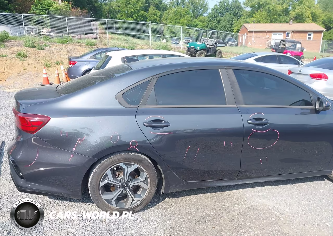 2019 Kia Forte Lxs VIN:3KPF24AD3KE049135 - 19