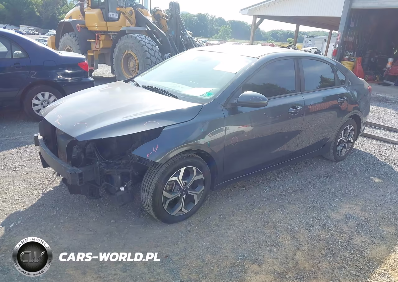 2019 Kia Forte Lxs VIN:3KPF24AD3KE049135 - 2