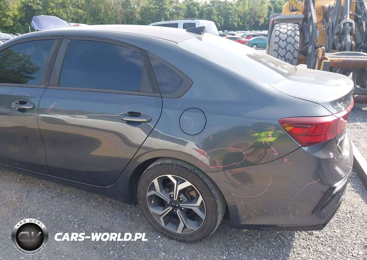 2019 Kia Forte Lxs VIN:3KPF24AD3KE049135 - 20