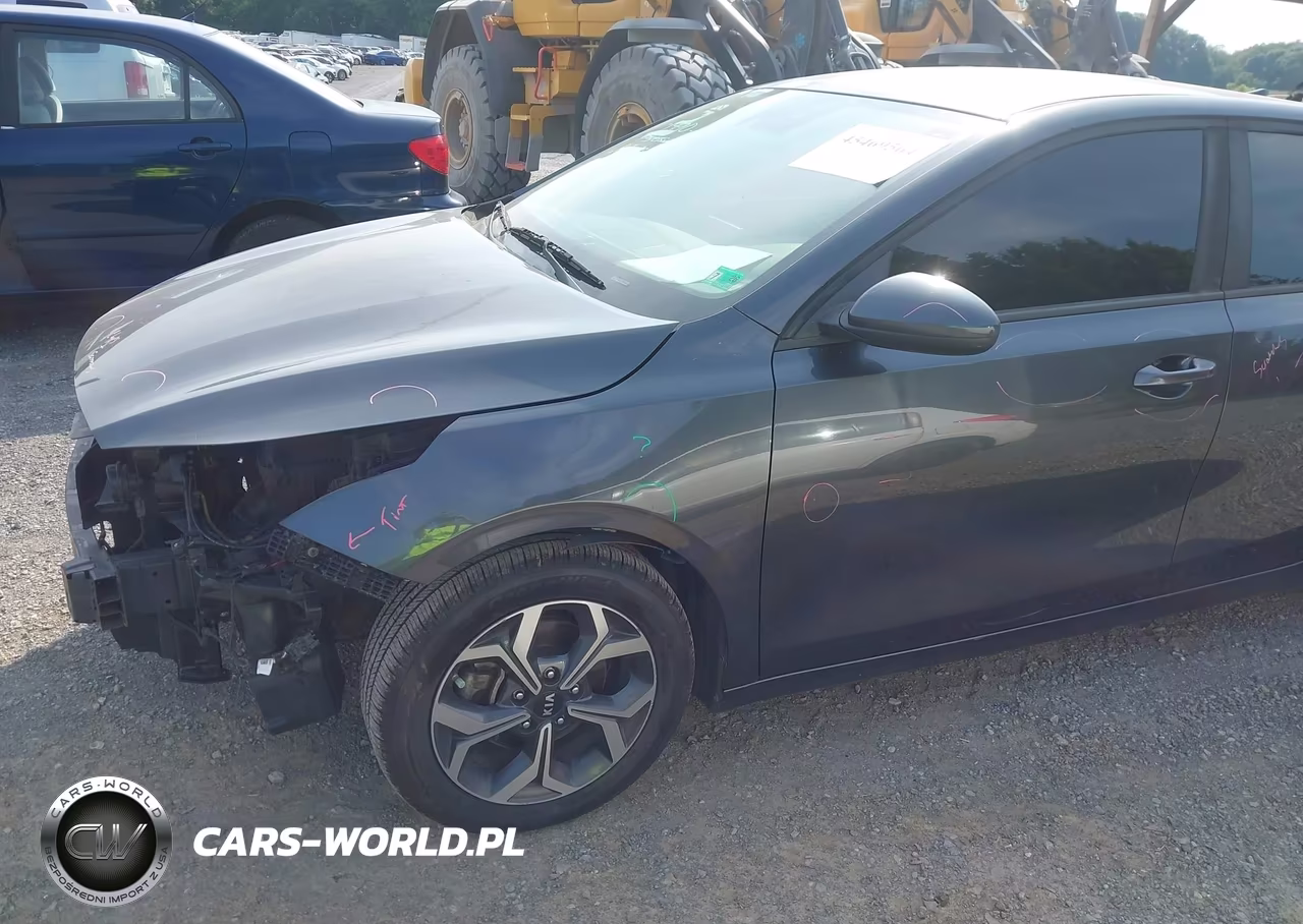 2019 Kia Forte Lxs VIN:3KPF24AD3KE049135 - 21