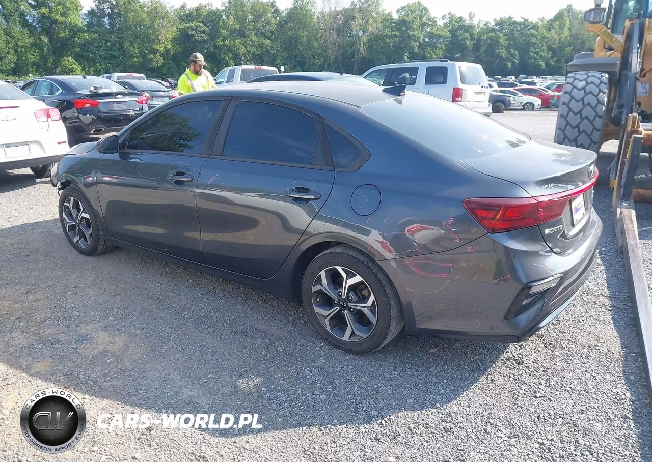 2019 Kia Forte Lxs VIN:3KPF24AD3KE049135 - 3