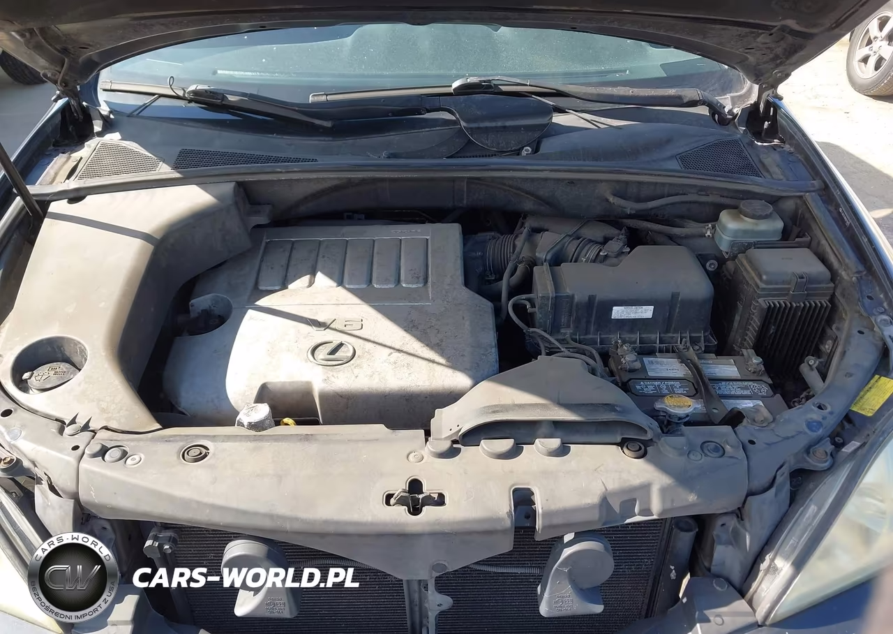 2009 Lexus Rx 350 VIN:JTJGK31UX90015997 - 10