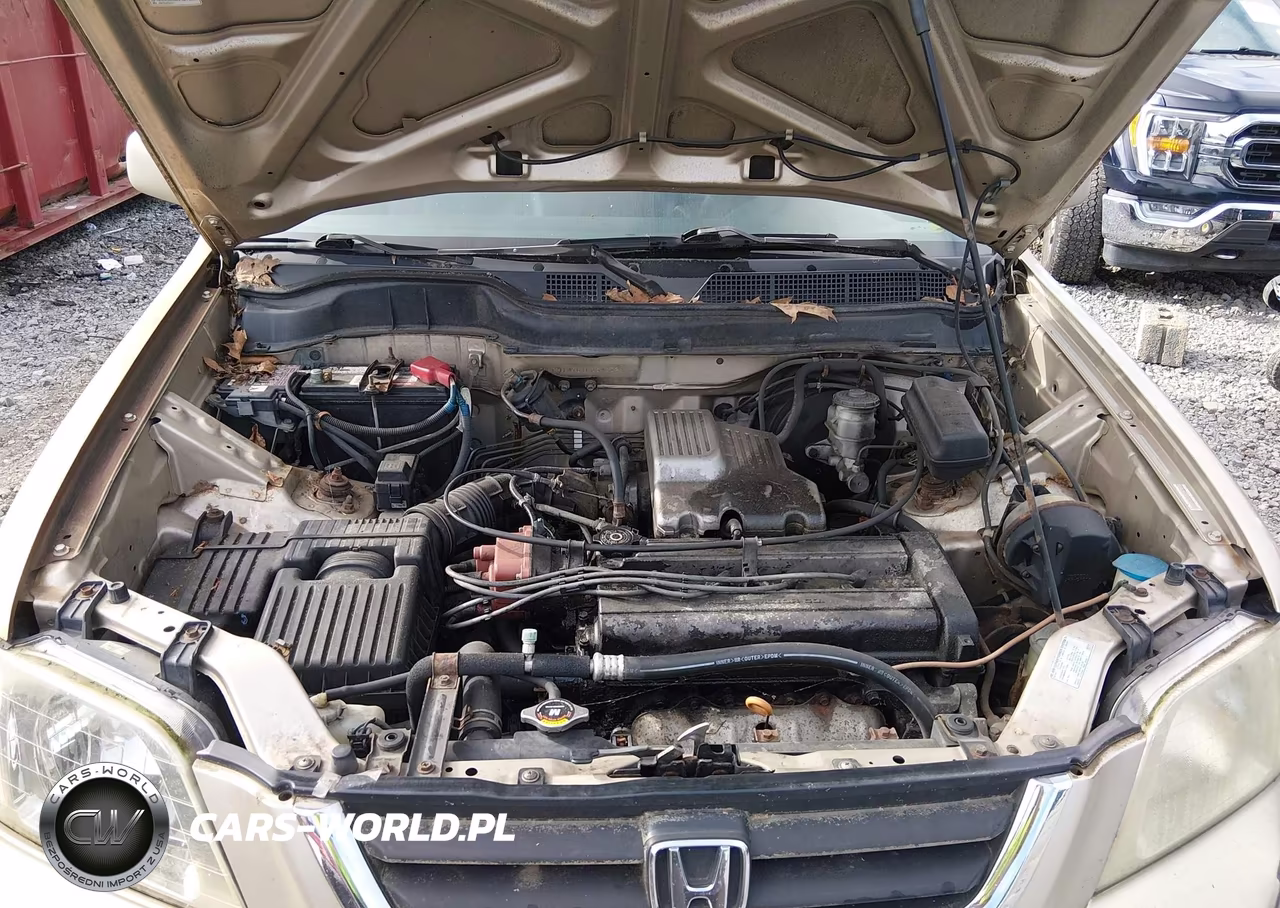 2001 Honda Cr-V Special Edition VIN:JHLRD18761C054022 - 10