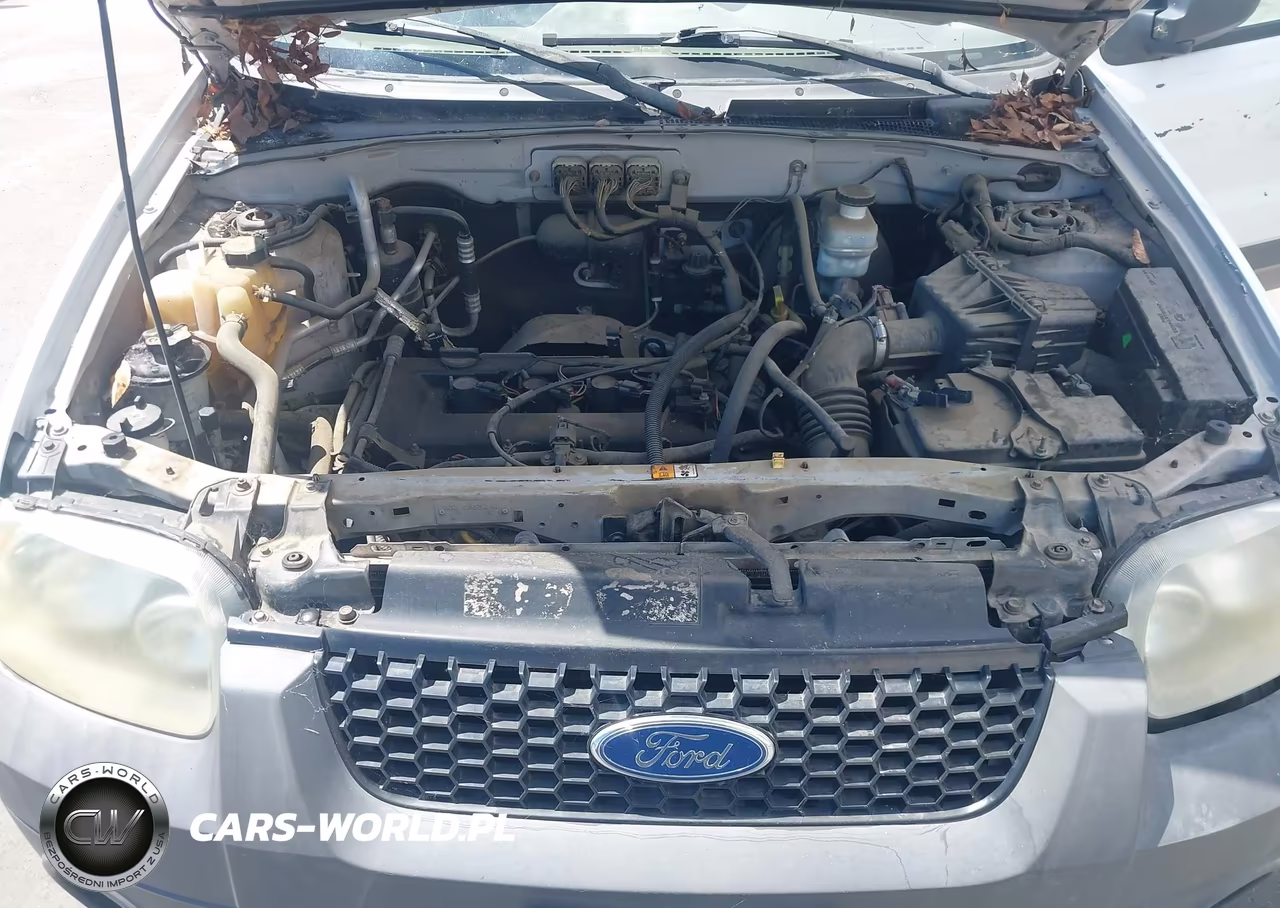 2006 Ford Escape Xls-Xls Manual VIN:1FMYU02Z26KB56424 - 10