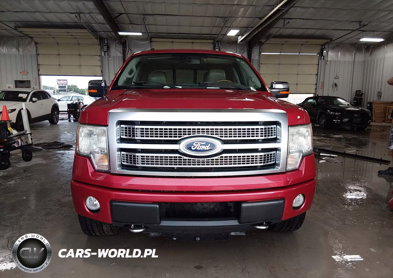2010 Ford F-150 Fx4-Harley-Davidson-King Ranch-Lariat-Platinum-Xl-Xlt VIN:1FTFW1EV0AFA93698 - 12