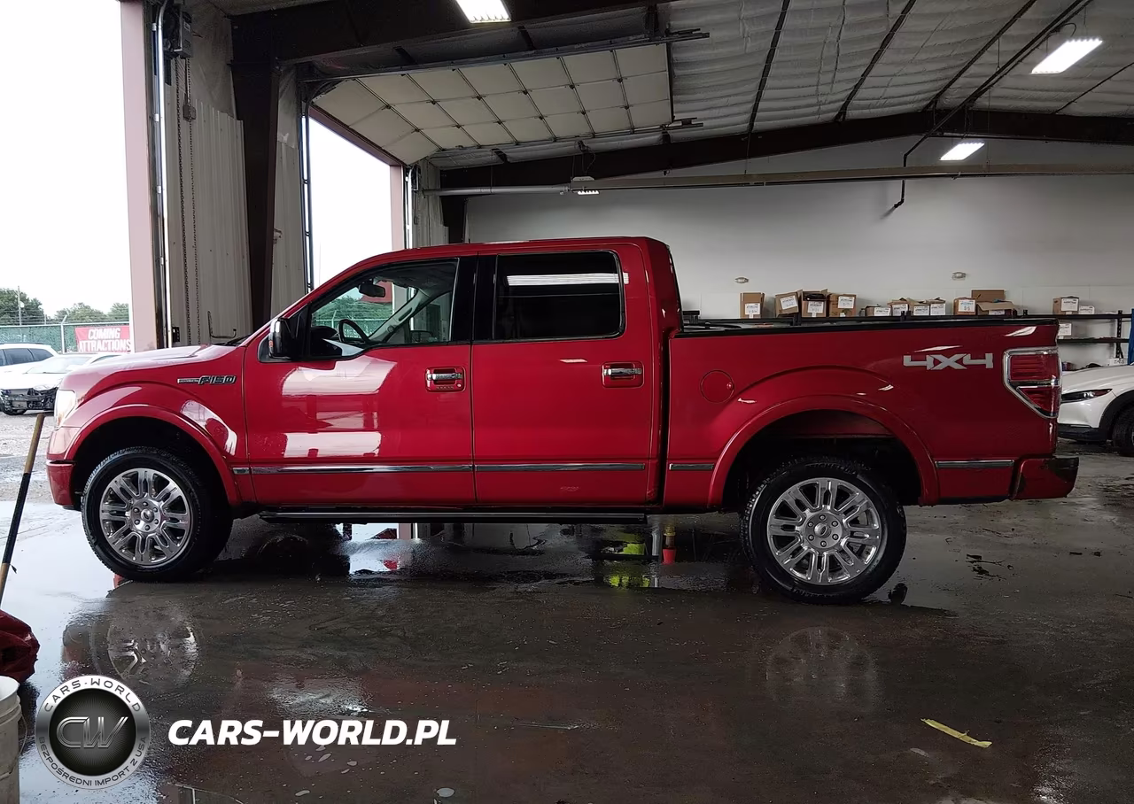 2010 Ford F-150 Fx4-Harley-Davidson-King Ranch-Lariat-Platinum-Xl-Xlt VIN:1FTFW1EV0AFA93698 - 14
