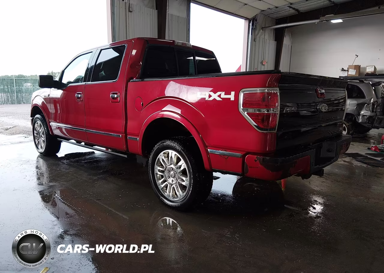 2010 Ford F-150 Fx4-Harley-Davidson-King Ranch-Lariat-Platinum-Xl-Xlt VIN:1FTFW1EV0AFA93698 - 3