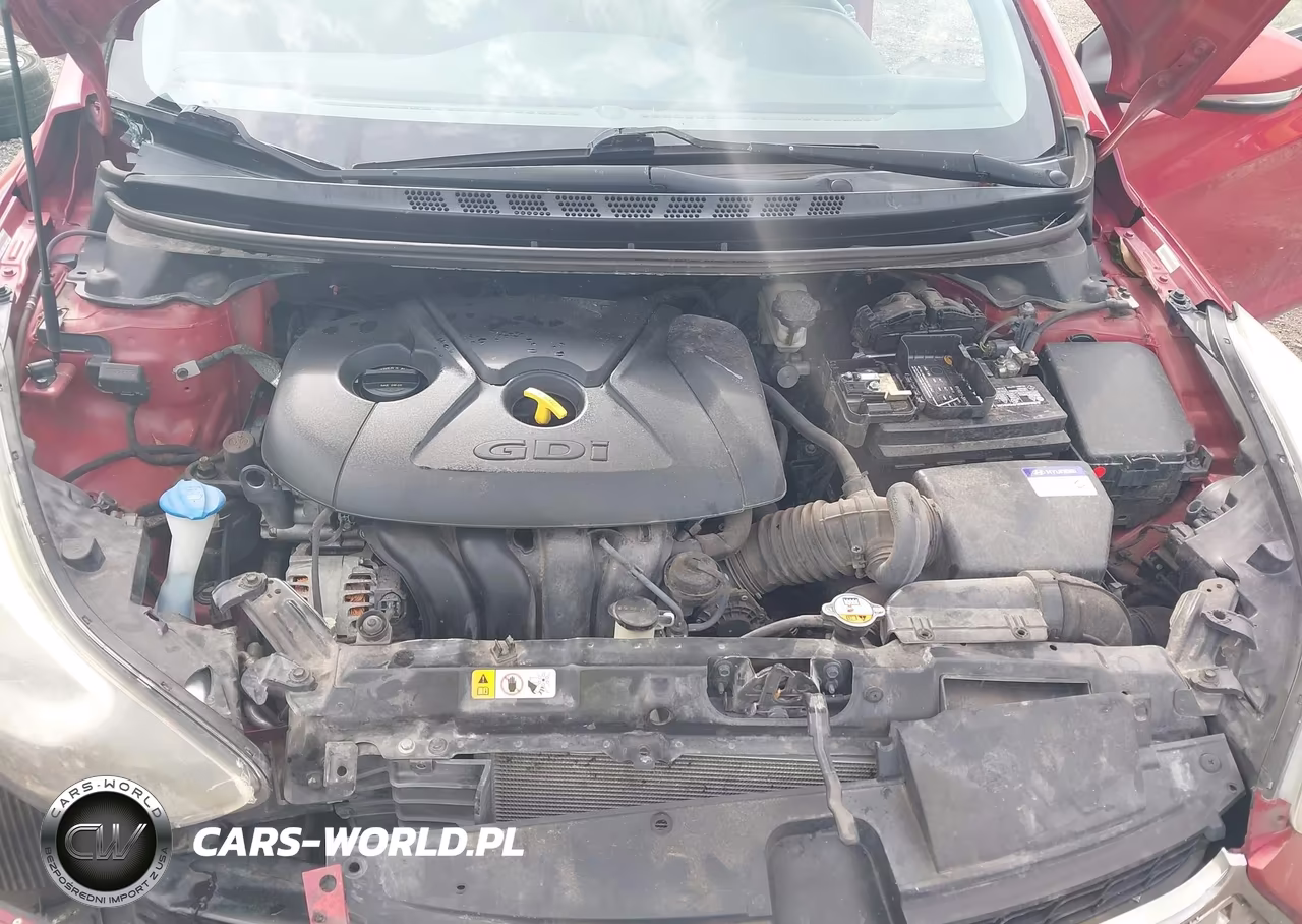 2014 Hyundai Elantra VIN:KMHDH6AH2EU028895 - 10