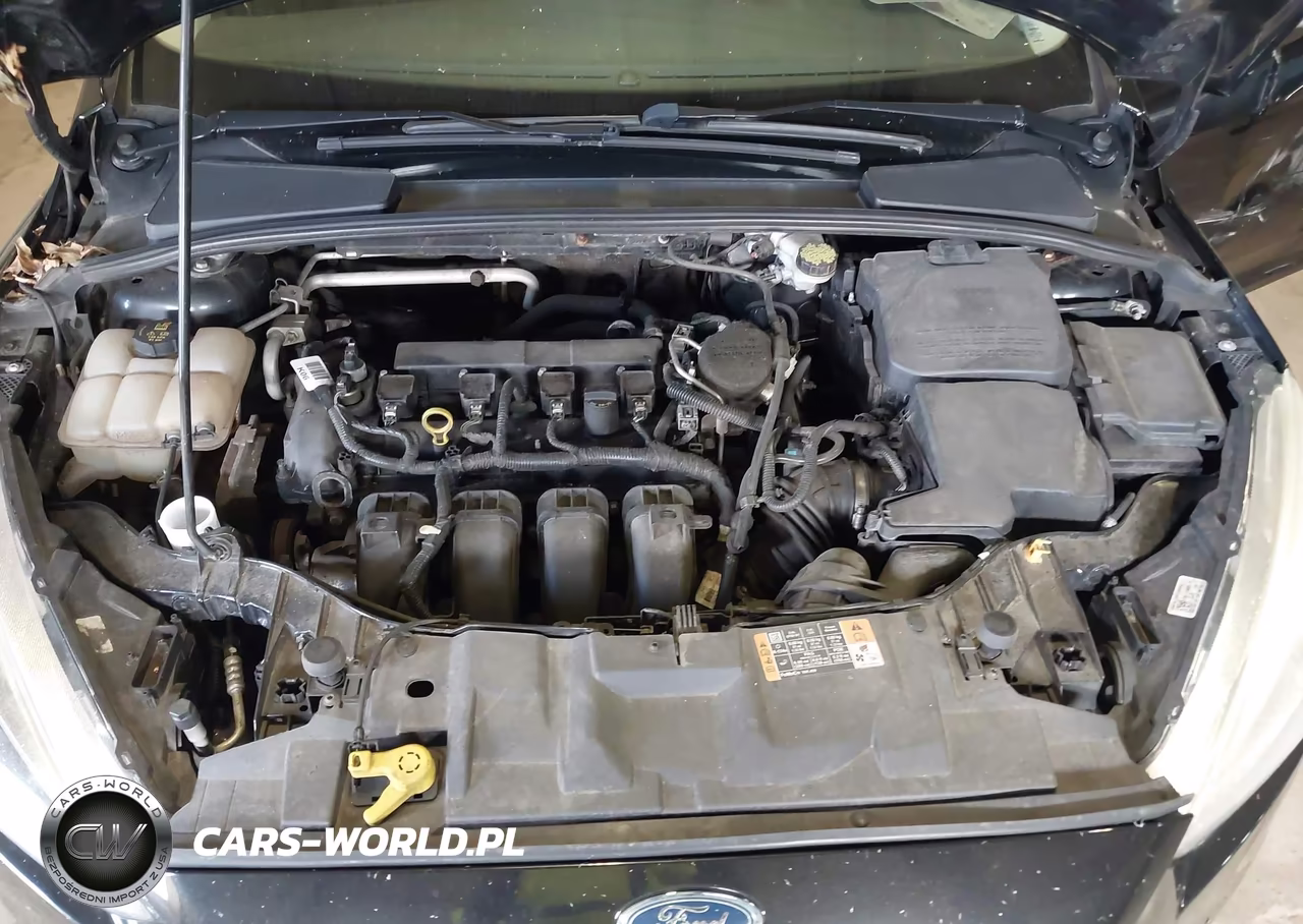 2015 Ford Focus Se VIN:1FADP3K26FL375109 - 10