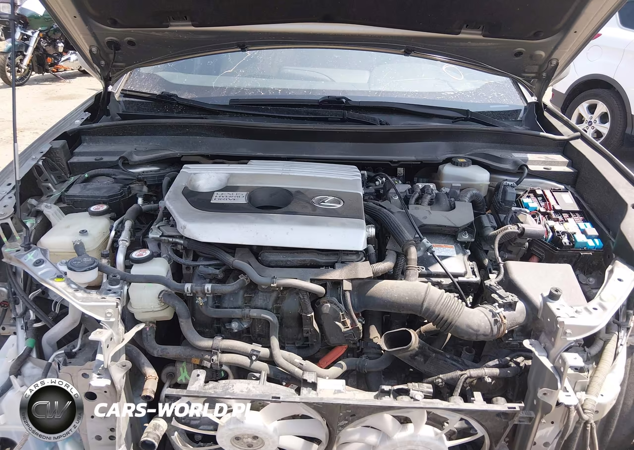 2019 Lexus Ux 250H VIN:JTHU9JBH8K2002035 - 10