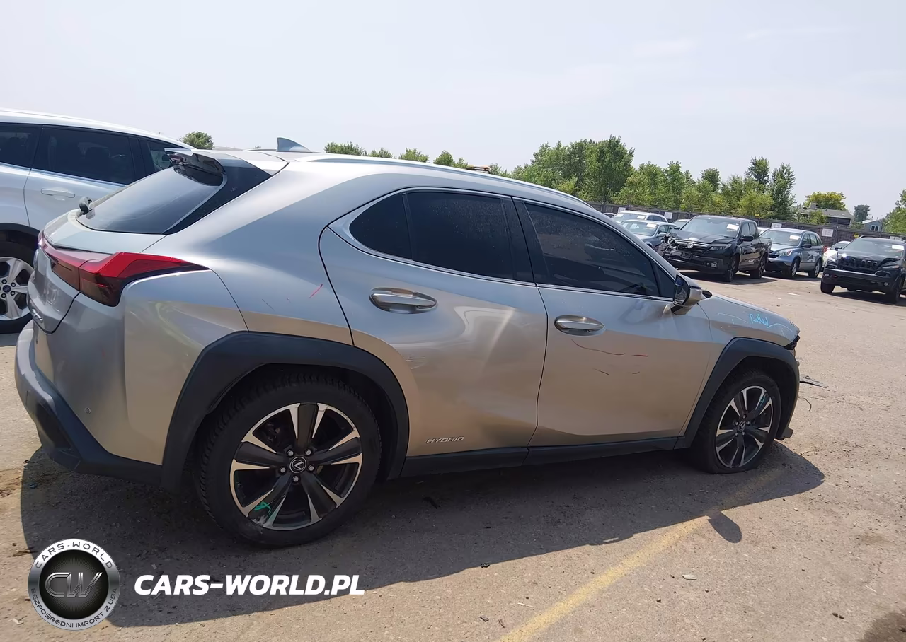 2019 Lexus Ux 250H VIN:JTHU9JBH8K2002035 - 13