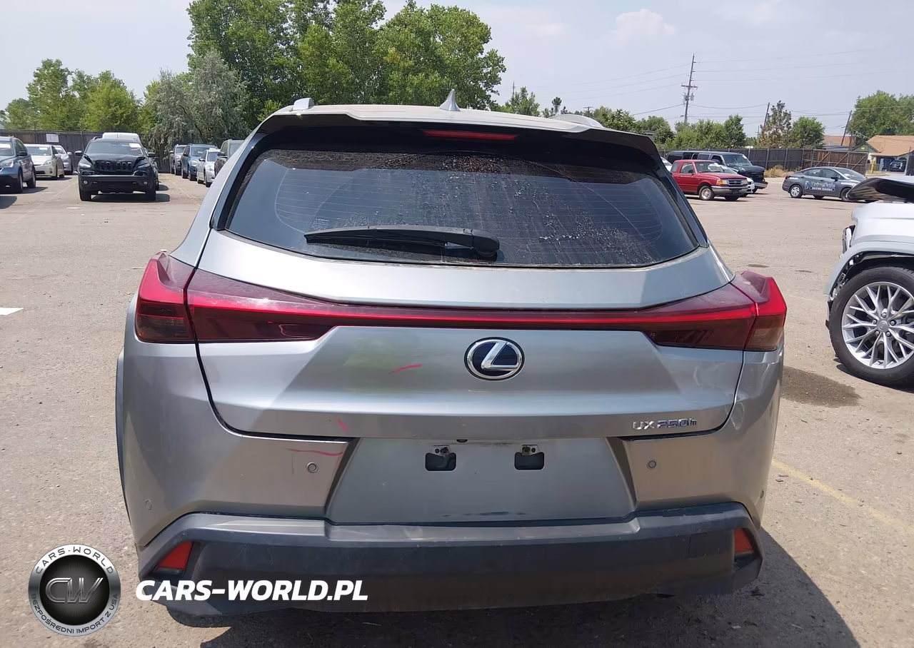 2019 Lexus Ux 250H VIN:JTHU9JBH8K2002035 - 16