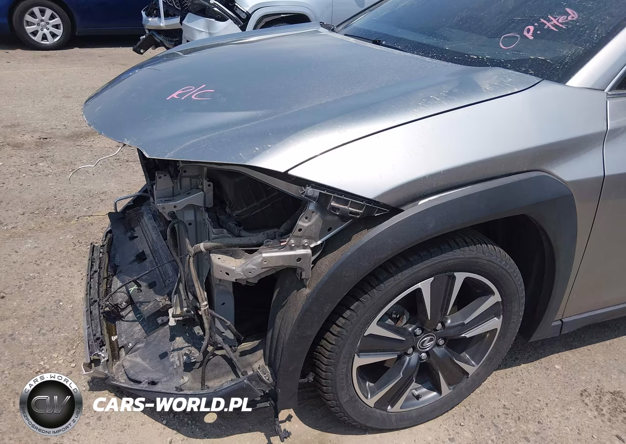 2019 Lexus Ux 250H VIN:JTHU9JBH8K2002035 - 17