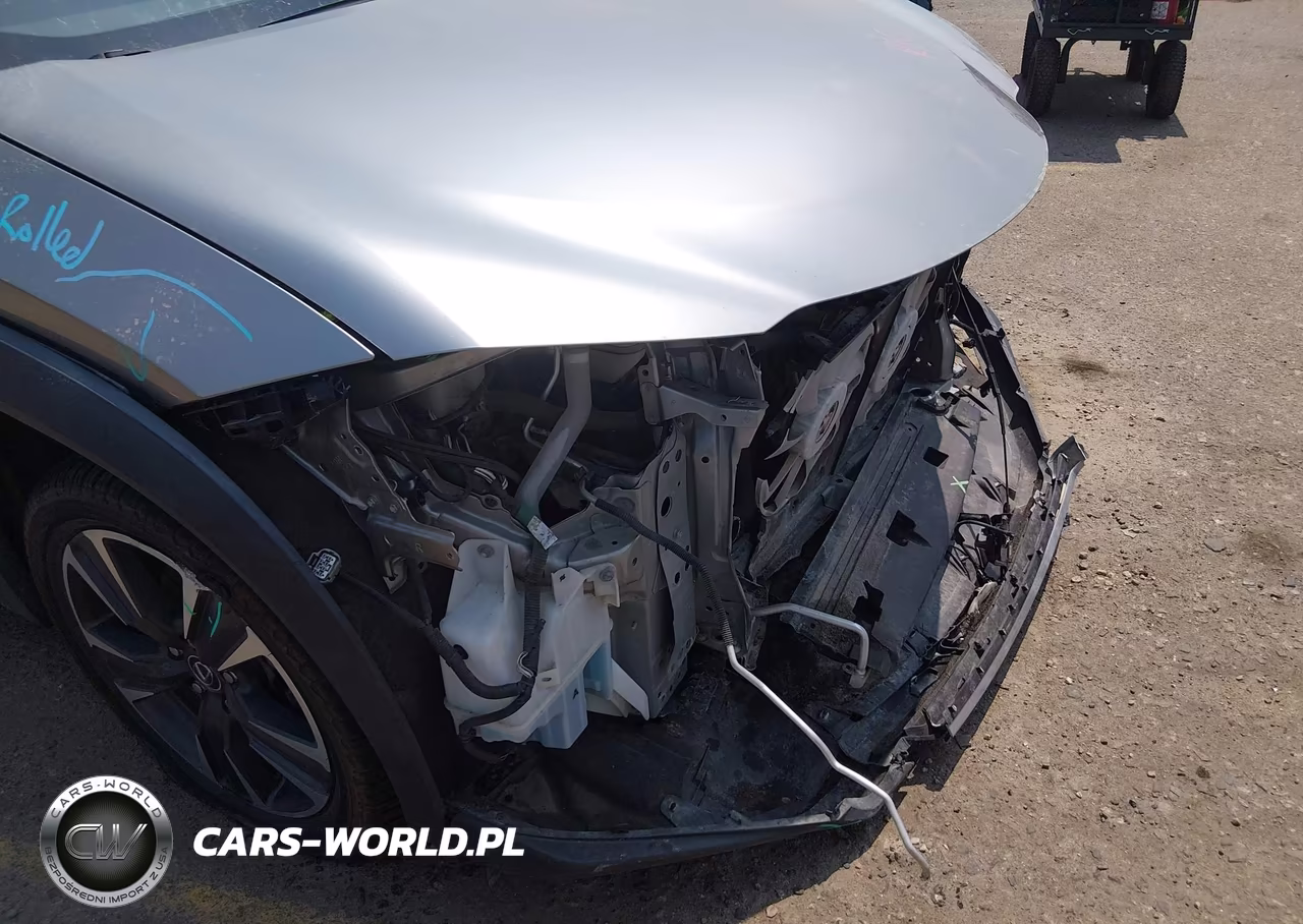 2019 Lexus Ux 250H VIN:JTHU9JBH8K2002035 - 18