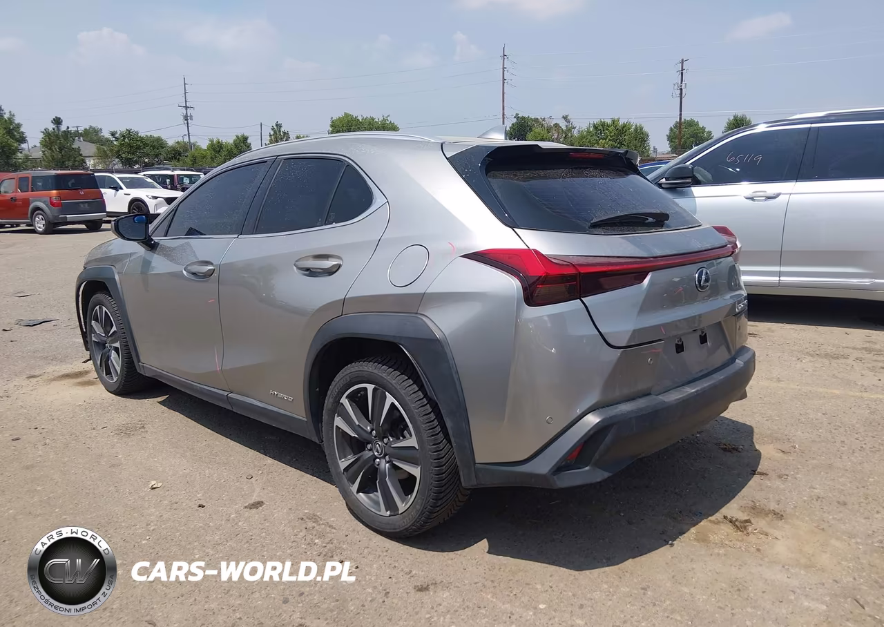 2019 Lexus Ux 250H VIN:JTHU9JBH8K2002035 - 3